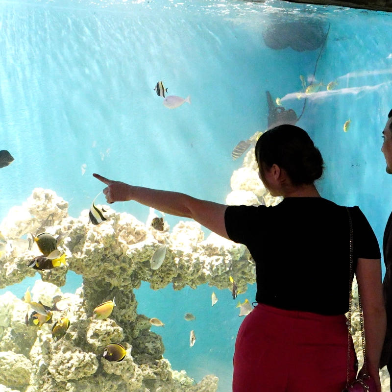 A woman pointing into a fish tank